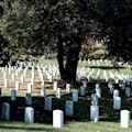 Arlington Cemetery & Changing of the Guard Tour : LOWEST PRICE!