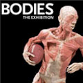 Save with discounts for Bodies The Exhibition Las Vegas