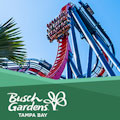 Busch Gardens : SAVE UP TO $50.00