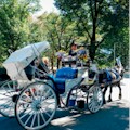 Central Park Horses Big Loop Tour : REG $180 ... NOW $140 PER CARRIAGE
