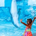 Clearwater Marine Aquarium : FREE ENTRY WITH CityPASS