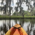 Crystal River Kayak Rentals : SAVE 10%