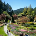 Discover Victoria & Butchart Gardens : LOWEST PRICE!