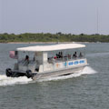 Dolphin Sightseeing Tour : GET THE LOWEST PRICE ONLINE!