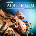 Austin Aquarium : INCLUDED IN THE POGO PASS!