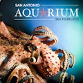 San Antonio Aquarium : INCLUDED IN THE POGO PASS!