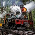 Roaring Camp Redwood Forest Steam Train (Felton) : LOWEST PRICE!