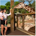 San Antonio Zoo : SAVE 21%