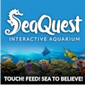 Seaquest Aquarium : INCLUDED IN THE POGO PASS! 