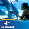 SeaWorld Orlando : SAVE UP TO 40%