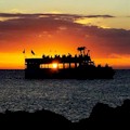 The Tropics Boat Tours Dolphin or Sunset Cruise : FREE ENTRY WITH CityPASS