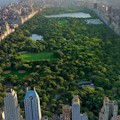 Central Park Waking Tour : SAVE 20%