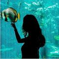 Aquarium of the Pacific : SAVE 10%