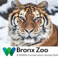 Bronx Zoo : SAVE 15%