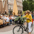 Full Day in Amsterdam : SAVE 10% WITH PROMO CODE DEST10