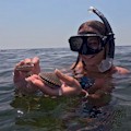 Scalloping Adventure : SAVE UP TO $60