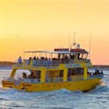 Dolphin Watch and Crab Island Sightseeing Cruise : LOWEST PRICE!