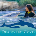 Discovery Cove : SAVE UP TO 20% ... FROM $179.20