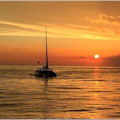 Sunset Dolphin Sail Aboard The Privateer Catamaran : LOWEST PRICE!