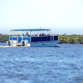 10,000 Islands Boat Tour : SAVE 10%