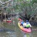 Kayak Rentals Everglades City : Save 10%
