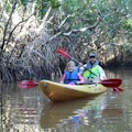 Canoe Rentals Everglades City : SAVE 10%