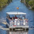 Everglades National Park Backcountry Boat Tour (Homestead) : SAVE 10%