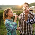 15% Off Deluxe Sonoma & Napa Valley Wine Country Tour