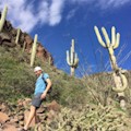 Incredible Hidden Valley Petroglyph Hike : SAVE 15%