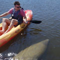 Fort Myers Kayak & Paddleboard Rentals : LOWEST PRICE