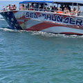 Sea Thunder Dolphin Cruise Myrtle Beach : LOWEST PRICE ... FROM $15