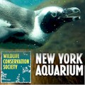 New York Aquarium : SAVE 15%