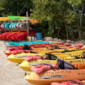 Kayak and Paddleboard Rentals : LOWEST PRICE ... FROM $30 A DAY