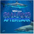 Sharks After Dark & Friday Night Jazz at Ripley's Aquarium : SAVE $5.00