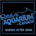 Sharks After Dark & Friday Night Jazz at Ripley's Aquarium : SAVE $5.00