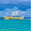 Sea Screamer Speedboat Dolphin Tour : LOWEST PRICE!