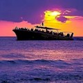 Sea Screamer Speedboat Sunset Dolphin Tour : LOWEST PRICE!