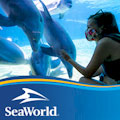 SeaWorld San Diego : SAVE UP TO $40.00 ... FROM $65.99