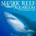 Shark Reef Las Vegas - Show Discounts for Las Vegas. Save by booking direct online