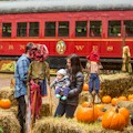 Skunk Trains Pumpkin Express : SAVE 15% ... ONLY $50.96