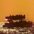 Sunset Dolphin Cruise : SAVE 10%