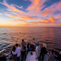 Newport Landing Sunset Cruise : SAVE 55% ... ONLY $12.00