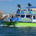Free coupons for Dolphin Exploration Cruise with The Tropics Boat Tours