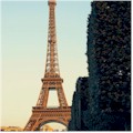 Paris Night Bike Tour : SAVE 15%