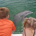 Wild Dolphin Excursion : SAVE UP TO $6.00 OR MORE!