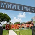 Wynwood Walls & Street Art Walking Tour : SAVE 10%