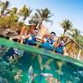 Xel-Há All-Inclusive Park Admission : FREE ADMISSION WITH GO CANCUN CARD