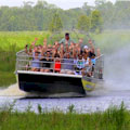 Wild Florida Airboat Tours : SAVE UP TO 35%
