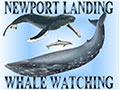 Newport Beach Newport Landing Whale Watching offers Discount Coupons for Newport Landing Whale Watching. Save with FREE travel discount coupons from DestinationCoupons.com!