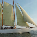 Boston Harbor Daytime Sail Discounts